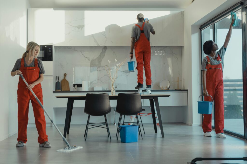 professional cleaning service